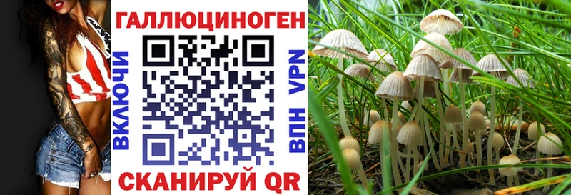 закладка  OMG зеркало  Галлюциногенные грибы мицелий  Суворов 